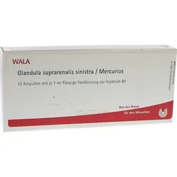 GLANDULA SUPRARENALIS sinistra/Mercurius Ampullen 10X1 ml
