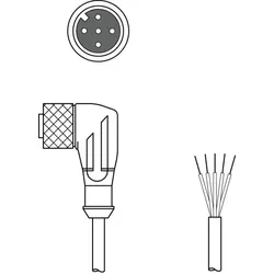 Leuze Anschlussleitung KD U-M12-5W#50133849
