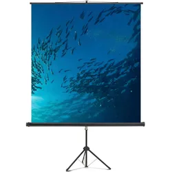 Magnetoplan Stativleinwand Professional 6100112 150x150cm weiss, Leinwand, Weiss