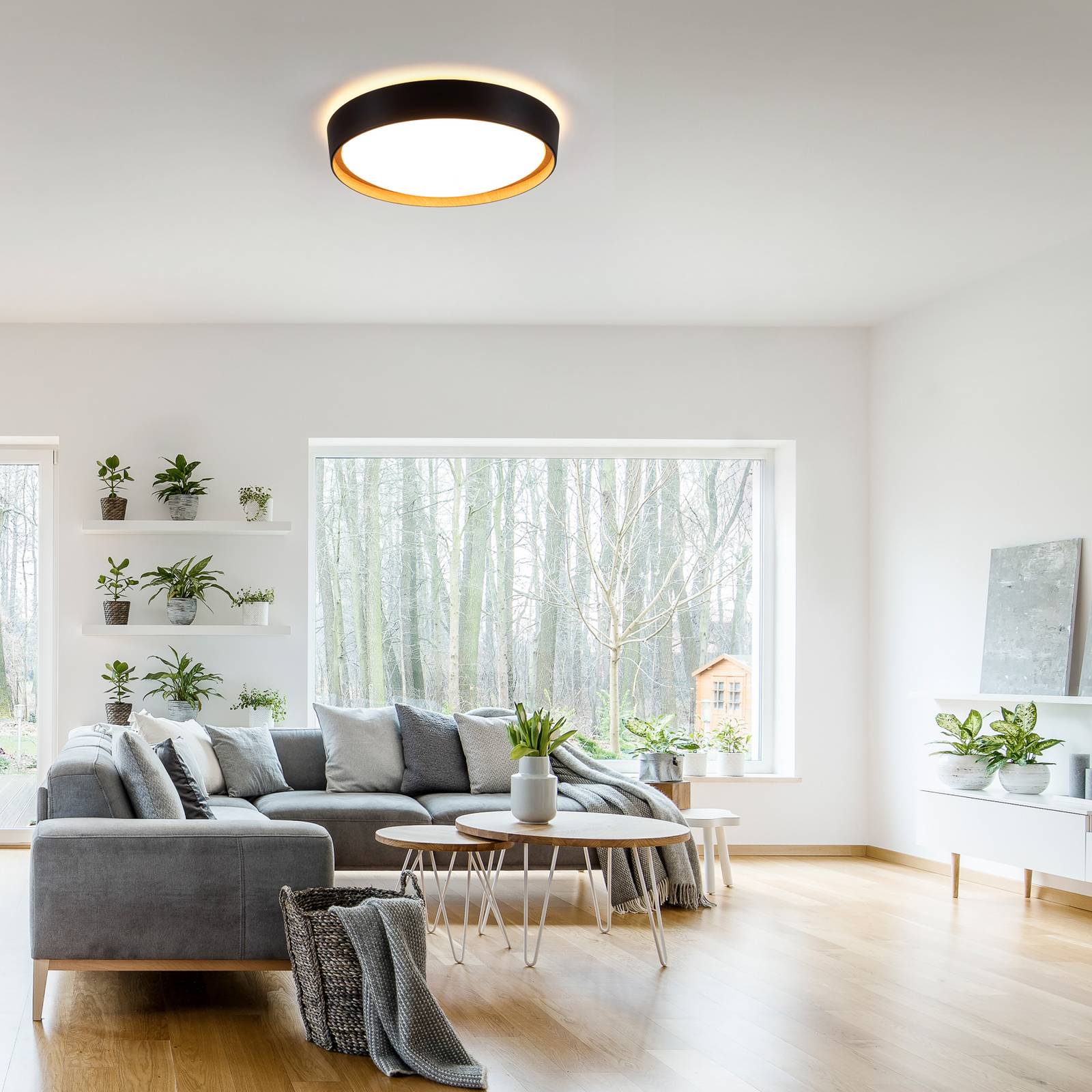 JUST LIGHT. GmbH LED Ceiling Light Emilia, dimmable, Black, Living / Dining Room, metal, Modern, Ceiling Light