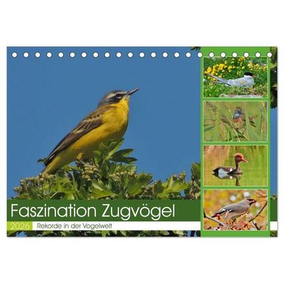Faszination Zugvögel - Rekorde in der Vogelwelt (Tischkalender 2026 DIN A5 quer), CALVENDO Monatskalender