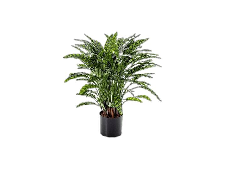 Lebensechte Kunstpflanze „Calathea“ Ø 75 x 88 cm Grün Baq Design