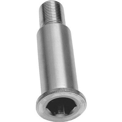 Schaeffler Ina Lagerzapfen, Spannrollenhebel [Hersteller-Nr. 533006420] für Mercedes-Benz, Daewoo, Ssangyong