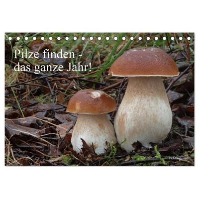 Pilze finden - das ganze Jahr! (Tischkalender 2027 DIN A5 quer), CALVENDO Monatskalender
