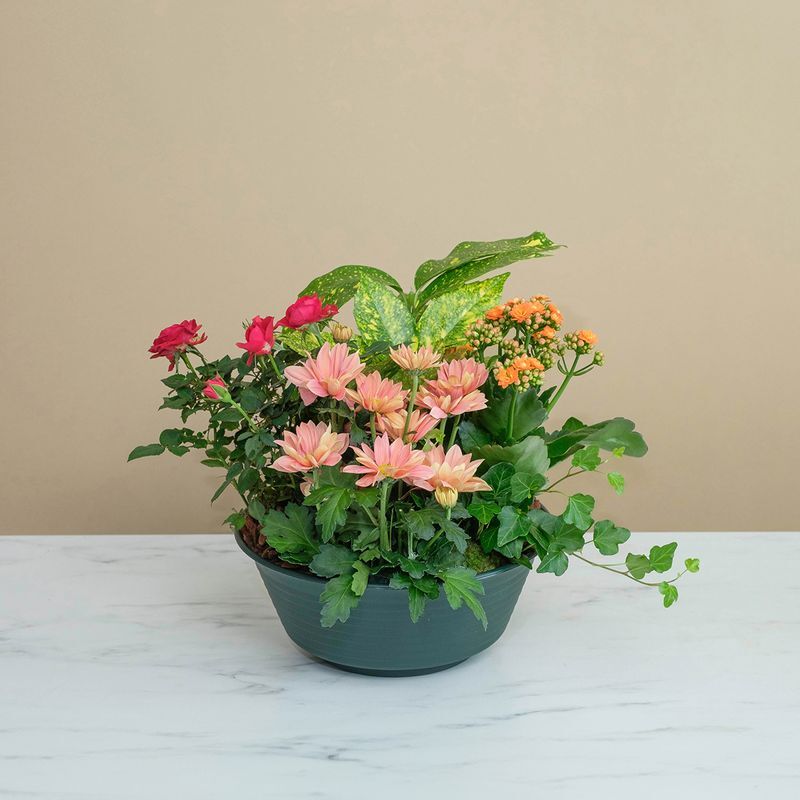 Coupe de plantes de saison : Douce compassion, plantes de deuil - Interflora