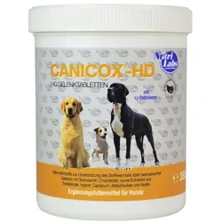 Canicox Hd