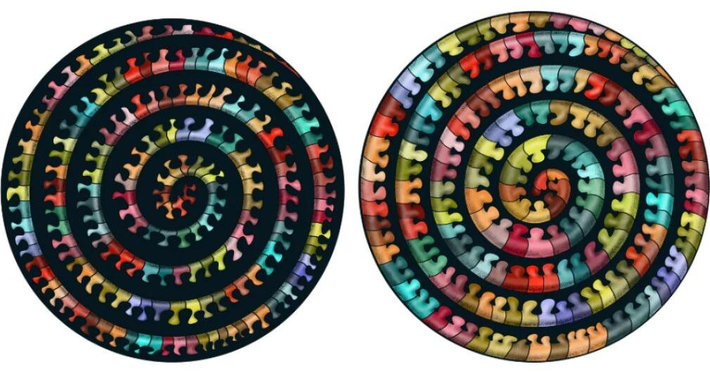 Curiosi Houten Puzzel Centipede met afbeelding aan beide zijden - 324 stukjes