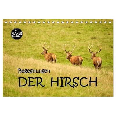 Begegnungen. DER HIRSCH (Tischkalender 2027 DIN A5 quer), CALVENDO Monatskalender