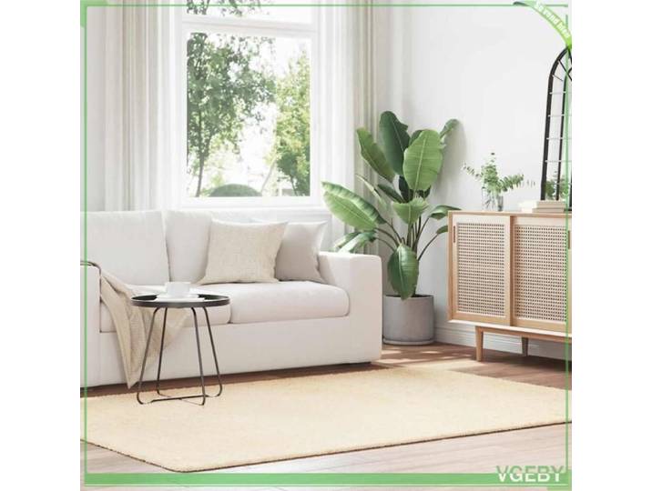Tapis Shaggy - FAFEISY - NAVARRA - crème - 160x230 cm - polyester antidérapant