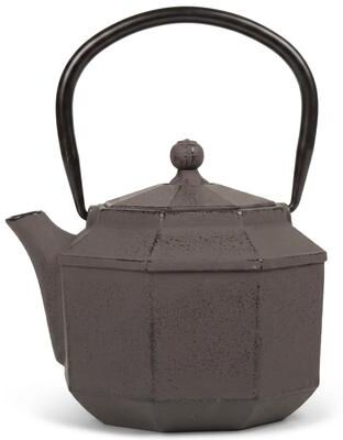 Creative Labs Home 34 oz Brown Cast Iron Teapot with Stainless Steel Infuser