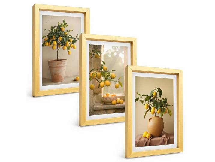 BILDER SET 3er Set - 20x30 cm Goldrahmen - Zitronenbäume im Topf