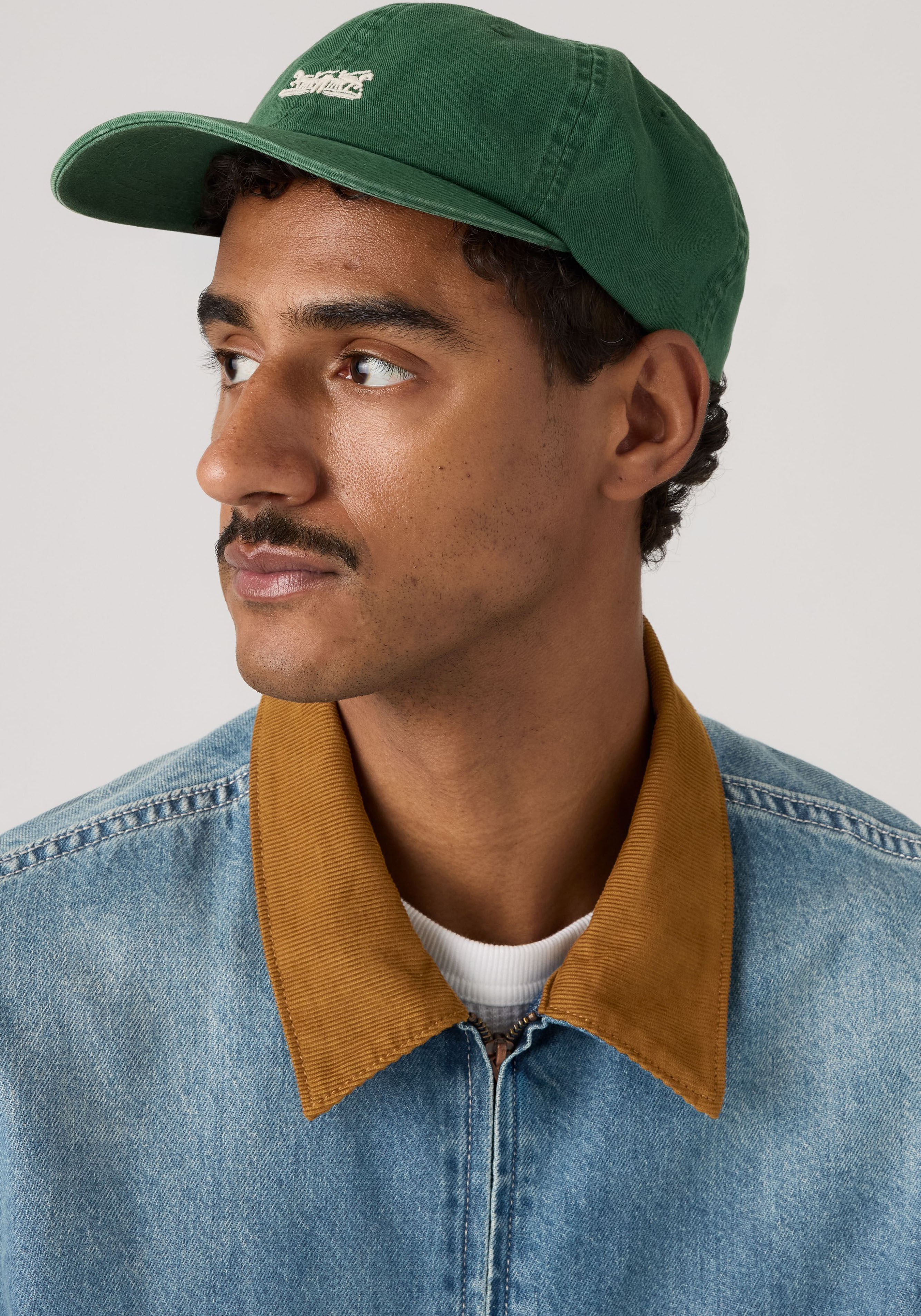 Baseball Cap LEVI'S "ROCKRIDGE DAD CAP", grün (eden), Web, Baumwolle, Caps Baseball Cap, mit Stickerei eden Einheitsgröße