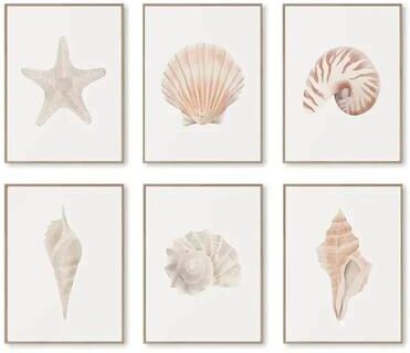Uplift Treasures Watercolor Sea Shell And Starfish Canvas Wall Art 7 6pcs 20x30cm No Frame