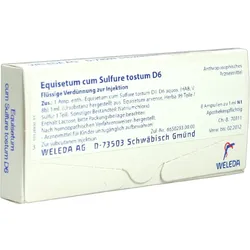 Equisetum C Sulf Tost D 6 8 ML