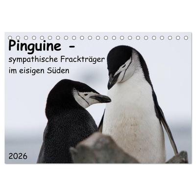 Pinguine - sympathische Frackträger im eisigen Süden (Tischkalender 2026 DIN A5 quer), CALVENDO Monatskalender