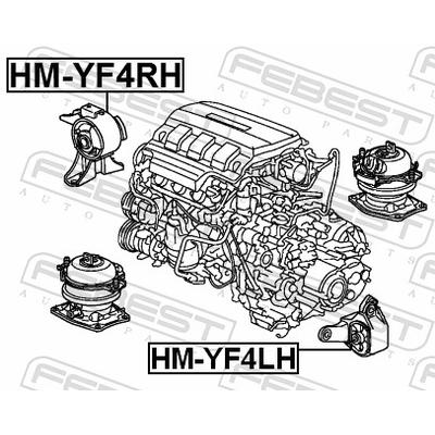 FEBEST Lagerung, Motor HM-YF4RH vorne rechts für HONDA