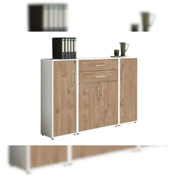 moebel-dich-auf Aktenschrank TABOR 16 in weiß / Gold Harbor Oak, Schrankwand, Büroschrank, Metallgriffe