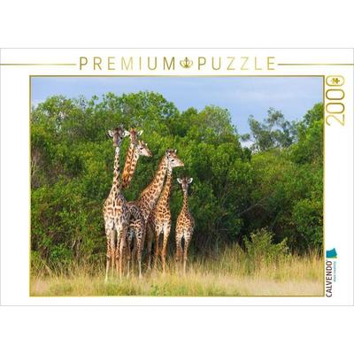 CALVENDO Puzzle Südafrikanische Giraffen, Okavango Delta, Botswana. | 2000 Teile Lege-Größe 90x67cm Foto-Puzzle für glückliche Stunden