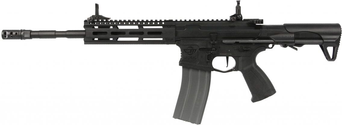 G&G Armament G&G CM16 Raider Long 2.0E AEG 6mm