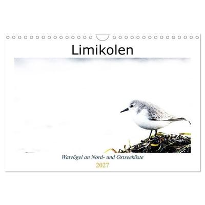 Limikolen - Watvögel an Nord- und Ostseeküste (Wandkalender 2027 DIN A4 quer), CALVENDO Monatskalender