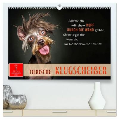 Tierische Klugscheißer (hochwertiger Premium Wandkalender 2027 DIN A2 quer), Kunstdruck in Hochglanz