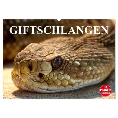 Giftschlangen (Wandkalender 2027 DIN A2 quer), CALVENDO Monatskalender