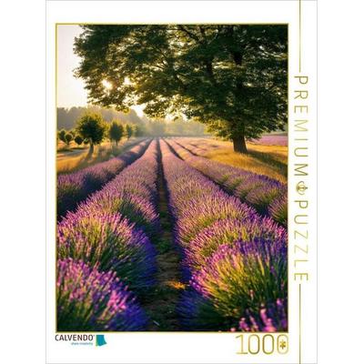 CALVENDO Puzzle Lavendel im sanften Regen | 1000 Teile Lege-Größe 64x48cm Foto-Puzzle für glückliche Stunden