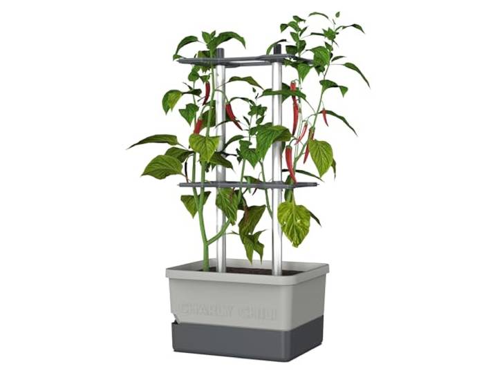 GUSTA GARDEN Charly Chili Chilitopf - Pflanzentopf mit Rankhilfe, Bewässerungssystem & Robustem Rahmen (Hellgrau, Regular)