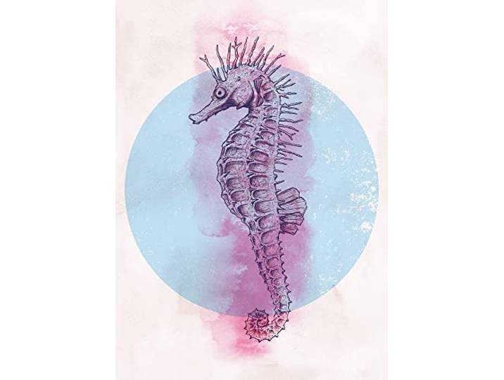 Komar Sea Horse Circle – Taille : 50 x 70 cm Impression sur toile (sans cadre) – Pure Boutique