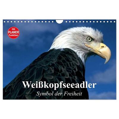 Weißkopfseeadler. Symbol der Freiheit (Wandkalender 2026 DIN A4 quer), CALVENDO Monatskalender