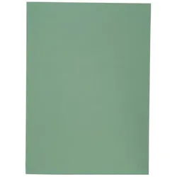 Elba, Mappe, Aktendeckel, DIN A4, Manilakarton, ohne Druck, grau 250 g-qm (A4, 1x)