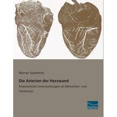 Die Arterien der Herzwand, Taschenbuch von Werner Spalteholz, Fachbuchverlag Dresden, 978-3-95692-729-4
