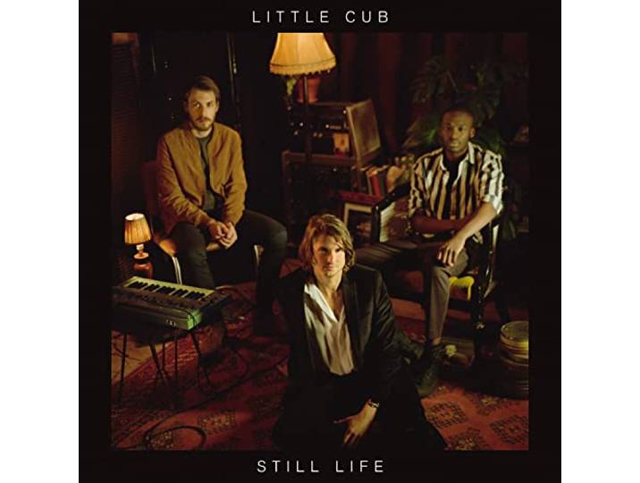 Little Cub - Still Life