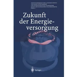 Zukunft der Energieversorgung, Fachbücher von Innovationsbeirat der Landesregierung von