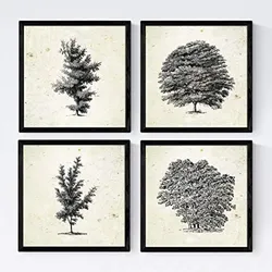 POSTER Set mit 4 Bädern Bäume variierten Jahrgang Hintergrund 20x20cm Schwarzer Rahmen