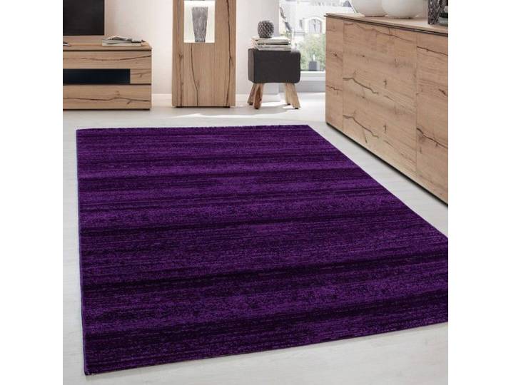 Tapis - Ayyildiz - Moderne - Violet - 200x290 cm - Courte Pile - Intérieur
