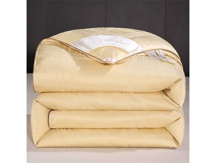 Couette de luxe en soie de mûrier pour hôtel et maison, couvre-lit automne-hiver avec housse en coton, insert de couette toutes saisons, tailles Queen et King