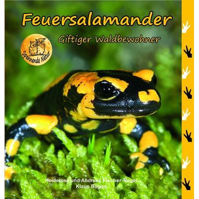 Feuersalamander, Gebundene Ausgabe von Heiderose Fischer-Nagel,Andreas Fischer-Nagel, Fischer-Nagel, H, 978-3-930038-58-9