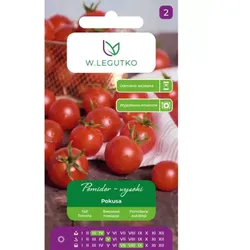 Hochgewachsene Freilandtomate Pokusa – Kirschtomaten, frühreif