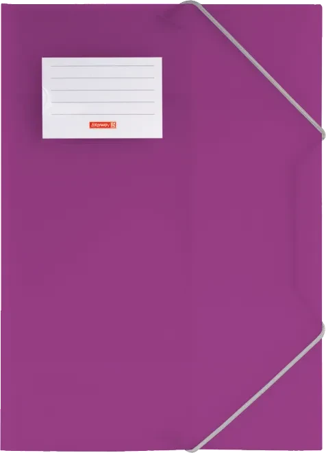 BRUNNEN Sammelmappe FACT!pp DIN A4 purple transparent