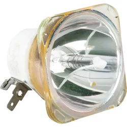 USHIO Ushio NSL400L Ersatzlampe für Infinity Furion H402 Hybrid