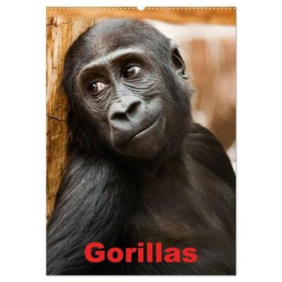 Gorillas (Wandkalender 2027 DIN A2 hoch), CALVENDO Monatskalender