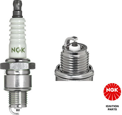 Ngk Zündkerze 4838 Für Mercury