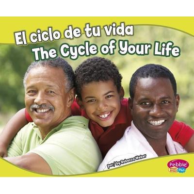 El Ciclo de Tu Vida/The Cycle of Your Life, Gebundene Ausgabe von Rebecca Weber, Capstone, 978-1-4296-6894-1