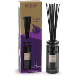 Schwarze Feige Bukett Initial 100ml