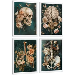POSTER Set aus 4 Anatomie Mensch Drucke und mit Schädel Gehirn Lungen Luftröhre Bronchien Becken Wirbelsäule Florales Größe Weißer Rahmen A4