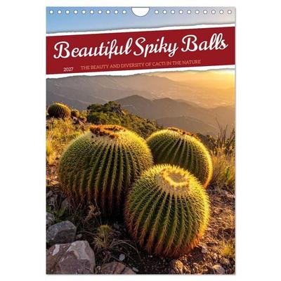 Beautiful Spiky Balls (Wall Calendar 2027 DIN A4 portrait), CALVENDO 12 Month Wall Calendar