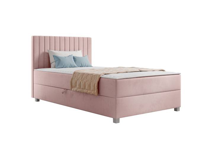 BOXBETT Viki - H3