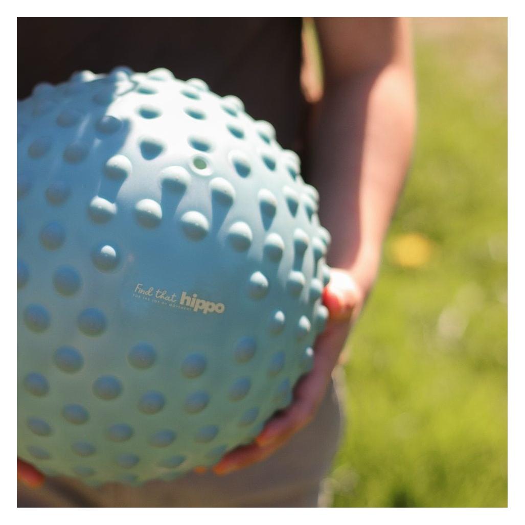 Find That Hippo - Large sensory ball - Weldon Blue (53100501) (53100501)