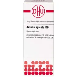 Actaea Spicata D 6 10 G